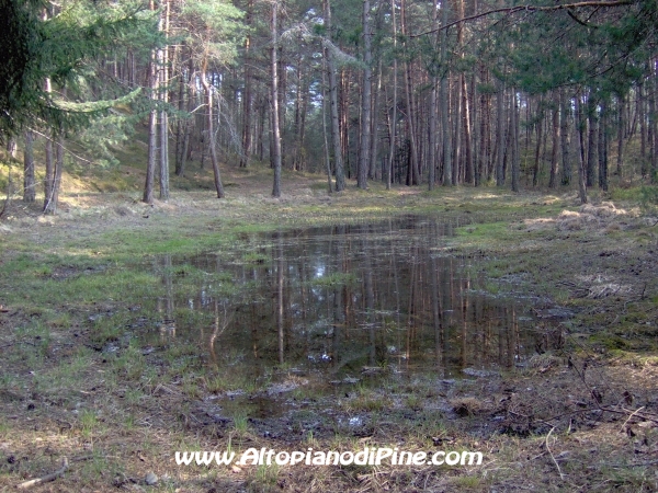 Stagno di Tressilla [foto/stagno_tressilla2.jpg]
