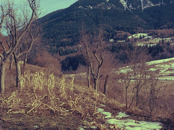 Miola 1975 - foto Fernando