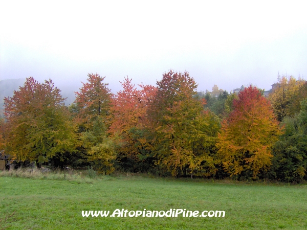 Colori dell'Autunno