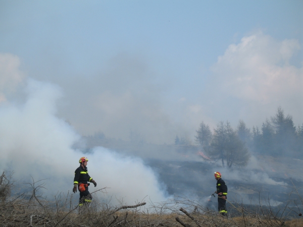 Due Vigili del Fuoco Volontari al lavoro
