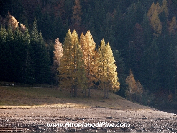 Autunno nel Lago delle Piazze