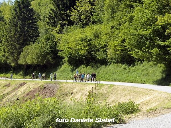Pellegrinaggio Monte Berico-Piné 2013 - finalmente il sole - foto Daniele Sighel