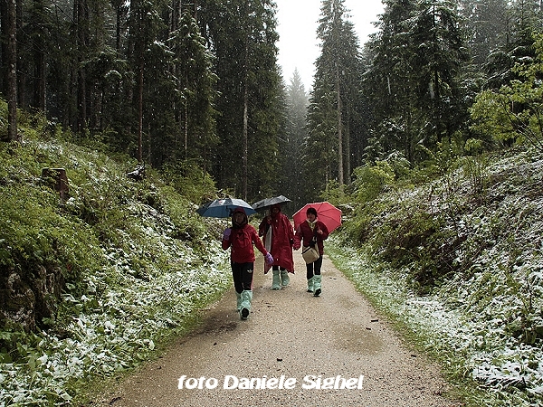 Pellegrinaggio Monte Berico-Piné 2013 - tra i boschi dell'Altipiano di Asiago - foto Daniele Sighel