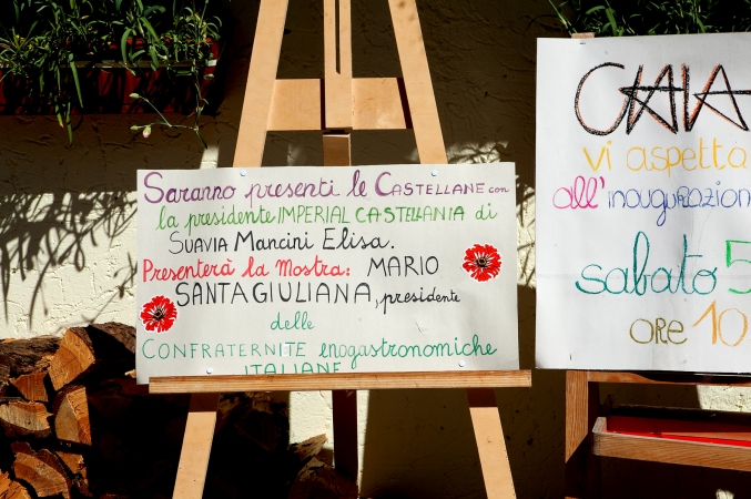 Fiori di Chiara Tonini - Capannina - Bedolpian