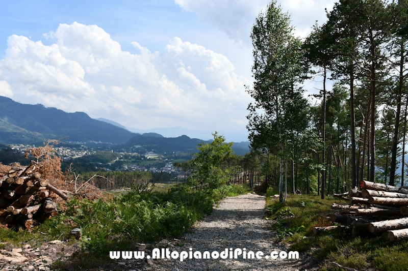 Passeggiata Bedolpian - Lago delle Rane - Tressilla