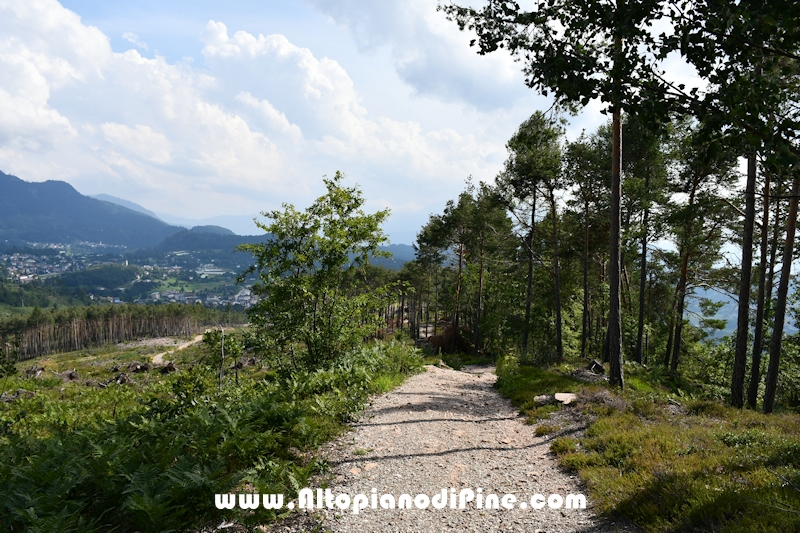 Passeggiata Bedolpian - Lago delle Rane - Tressilla
