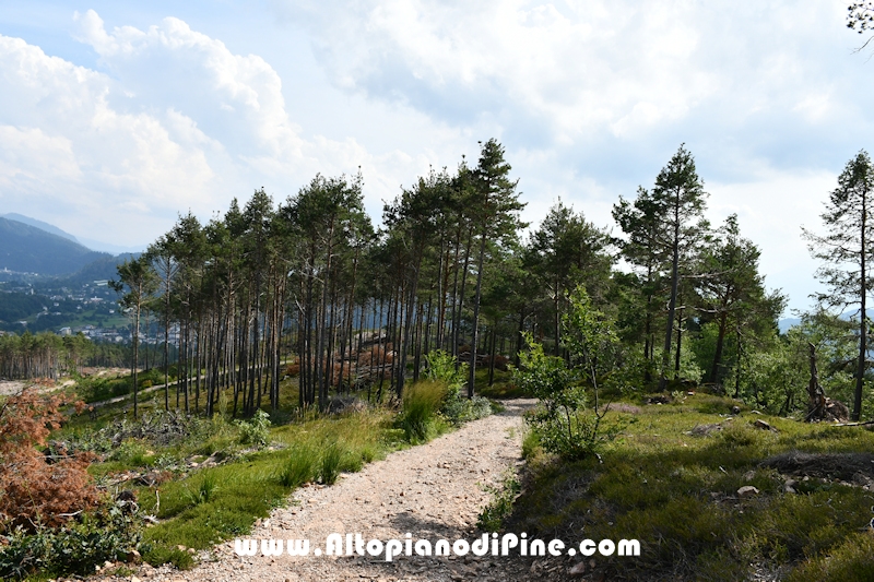 Passeggiata Bedolpian - Lago delle Rane - Tressilla