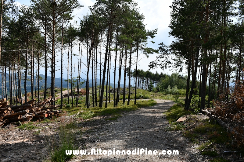 Passeggiata Bedolpian - Lago delle Rane - Tressilla