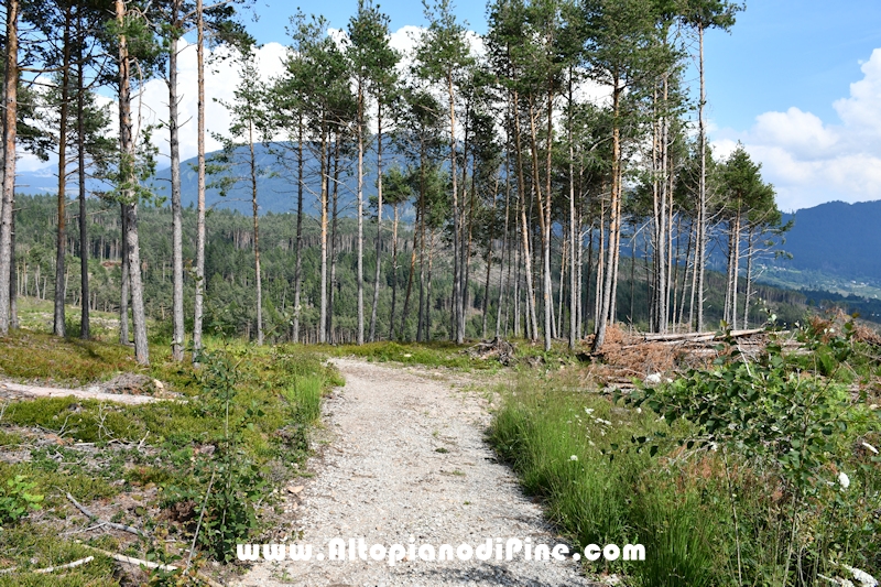 Passeggiata Bedolpian - Lago delle Rane - Tressilla