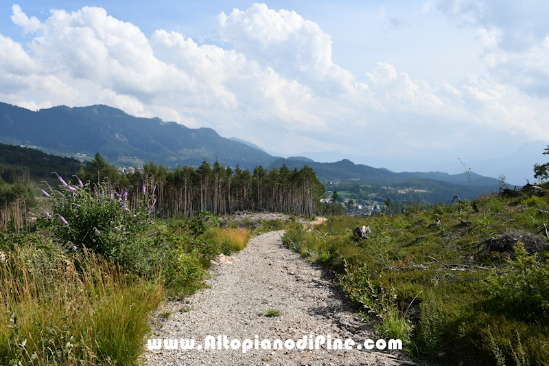 Passeggiata Bedolpian - Lago delle Rane - Tressilla