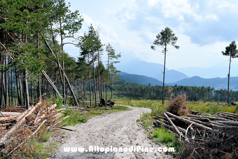Passeggiata Bedolpian - Lago delle Rane - Tressilla
