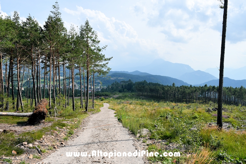 Passeggiata Bedolpian - Lago delle Rane - Tressilla