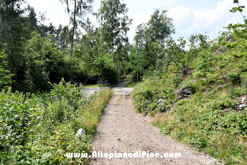 Passeggiata Bedolpian - Lago delle Rane - Tressilla
