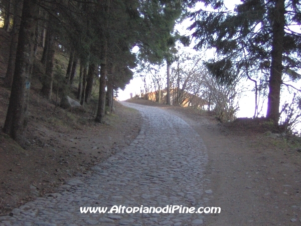 Strada bosco Campolongo-Miola [fotopercorsi/strada_campolongomiola10.jpg]
