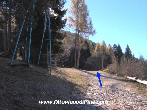 Strada bosco Campolongo-Miola [fotopercorsi/strada_campolongomiola11.jpg]
