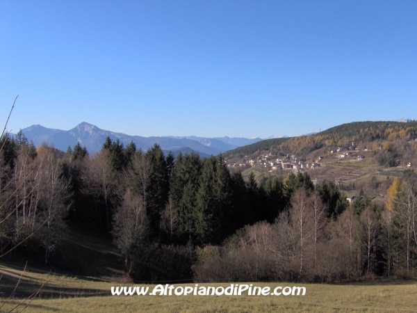 Strada bosco Campolongo-Miola [fotopercorsi/strada_campolongomiola12.jpg]