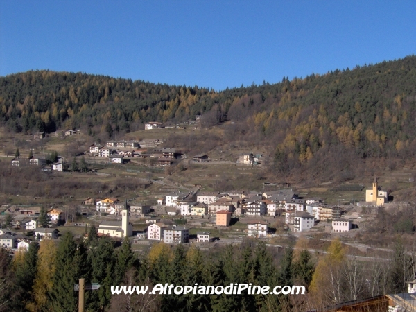 Strada bosco Campolongo-Miola [fotopercorsi/strada_campolongomiola13.jpg]
