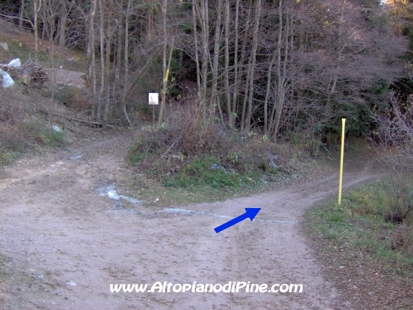 Strada bosco Campolongo-Miola [fotopercorsi/strada_campolongomiola15.jpg]