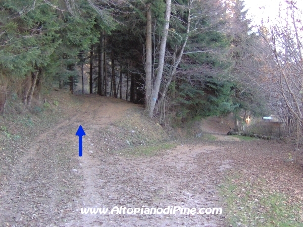 Strada bosco Campolongo-Miola [fotopercorsi/strada_campolongomiola16.jpg]