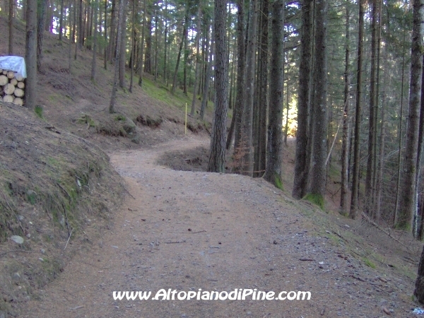 Strada bosco Campolongo-Miola [fotopercorsi/strada_campolongomiola20.jpg]