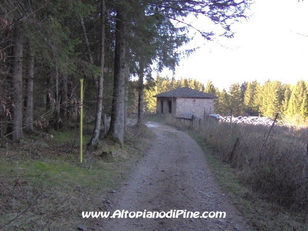 Strada bosco Campolongo-Miola [fotopercorsi/strada_campolongomiola27.jpg]
