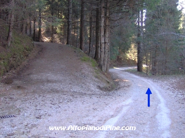 Via della Prestala - Miola [fotopercorsi/strada_campolongomiola29.jpg]