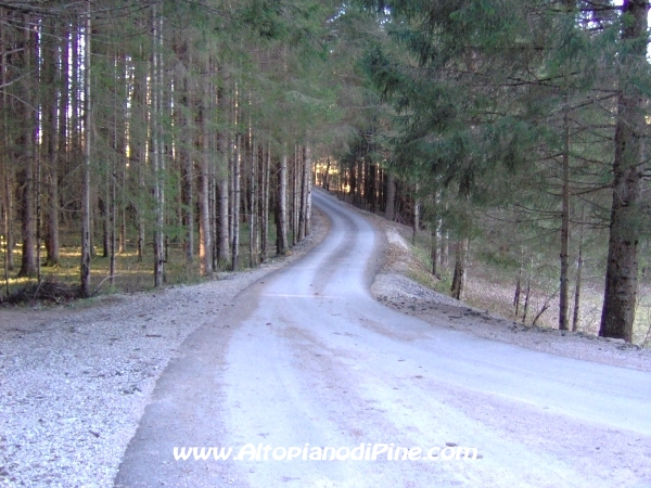 Via della Prestala - Miola [fotopercorsi/strada_campolongomiola32.jpg]