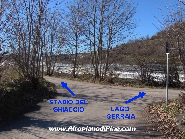 Strada bosco Campolongo-Miola [fotopercorsi/strada_campolongomiola35.jpg]