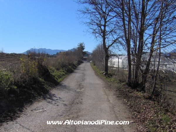 Strada bosco Campolongo-Miola [fotopercorsi/strada_campolongomiola36.jpg]