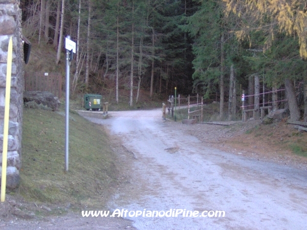 Strada bosco Campolongo-Miola [fotopercorsi/strada_campolongomiola5.jpg]