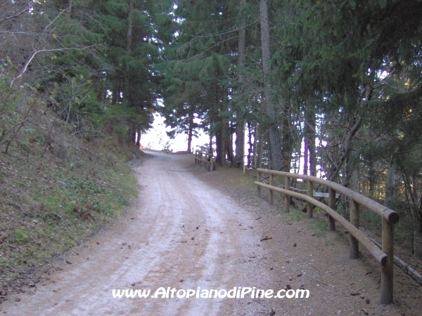 Strada bosco Campolongo-Miola [fotopercorsi/strada_campolongomiola9.jpg]