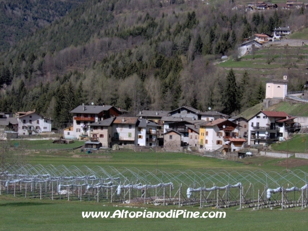 Case di Casei - Bedollo