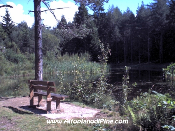 La panchina per osservare il Lago delle Rane