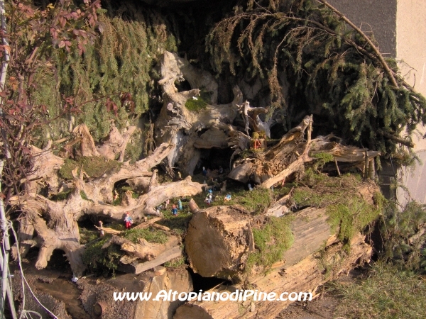 Presepe di Miola