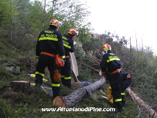 L'arrivo dei soccorsi, constatazione delle ferite e studio della situazione