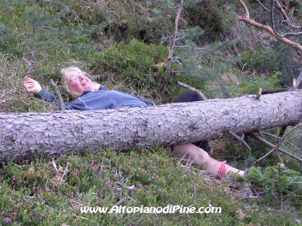 La persona ferita sotto l'albero