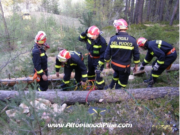 Posizionamento dei cuscini per alzare l'albero