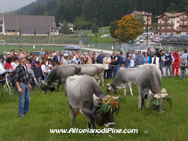Momenti della Desmalgada 2007