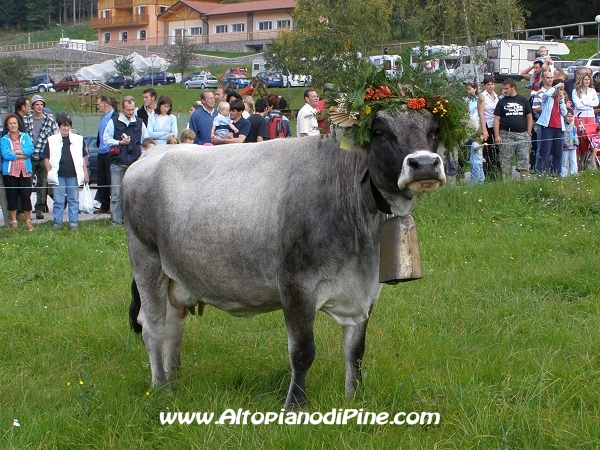 In posa per la foto
