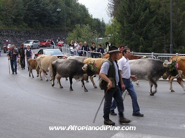 I malgari e le regine della festa