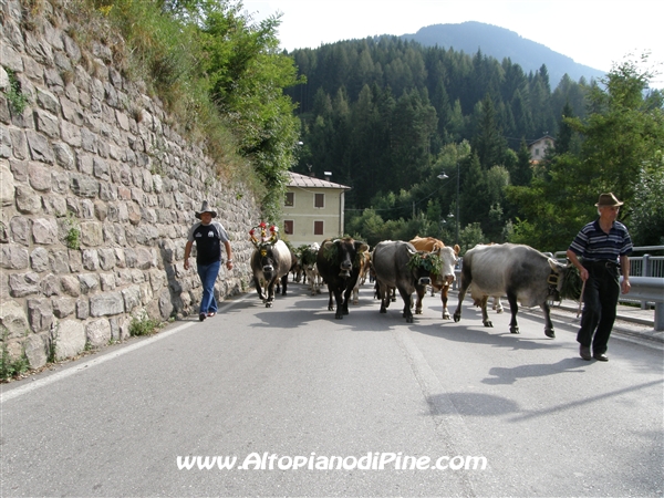 Momenti della Desmalgada 2008