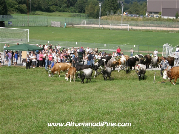 Desmalgada 2008