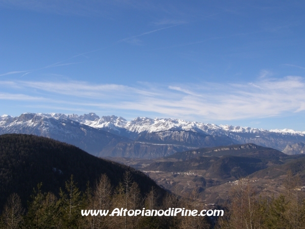 Cime innevate viste dal bosco di Tressilla