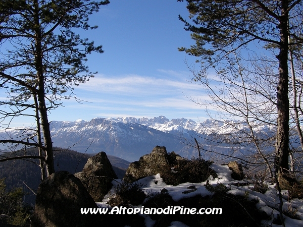 Cime innevate viste dal bosco di Tressilla
