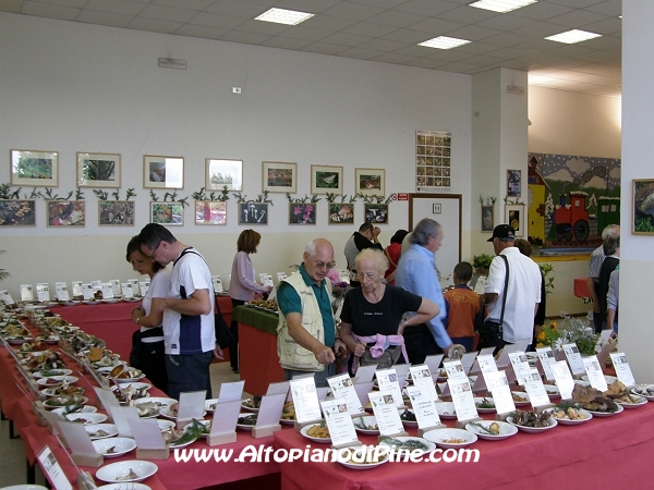 Mostra dei Funghi 2008