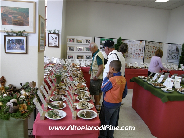 Mostra dei Funghi 2008