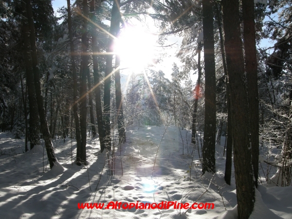 Neve - inverno 2008/2009