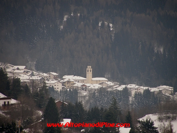 Faida - gennaio 2009