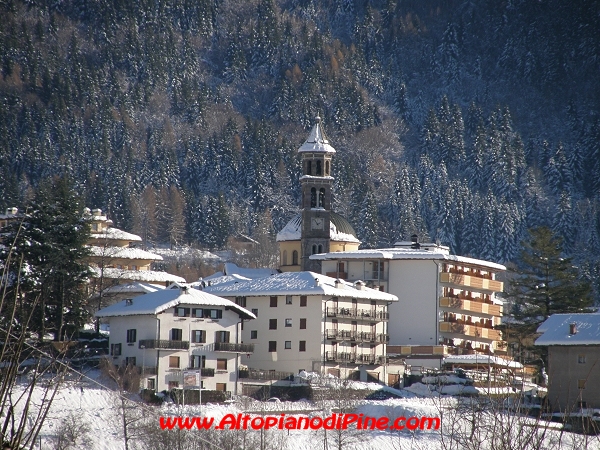Miola - dicembre 2008