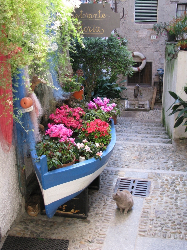 Una barca piena di fiori - foto Bruno Ioriatti